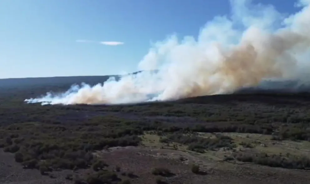 Bomberos trabajan para controlar incendio forestal en la zona de Río Pico