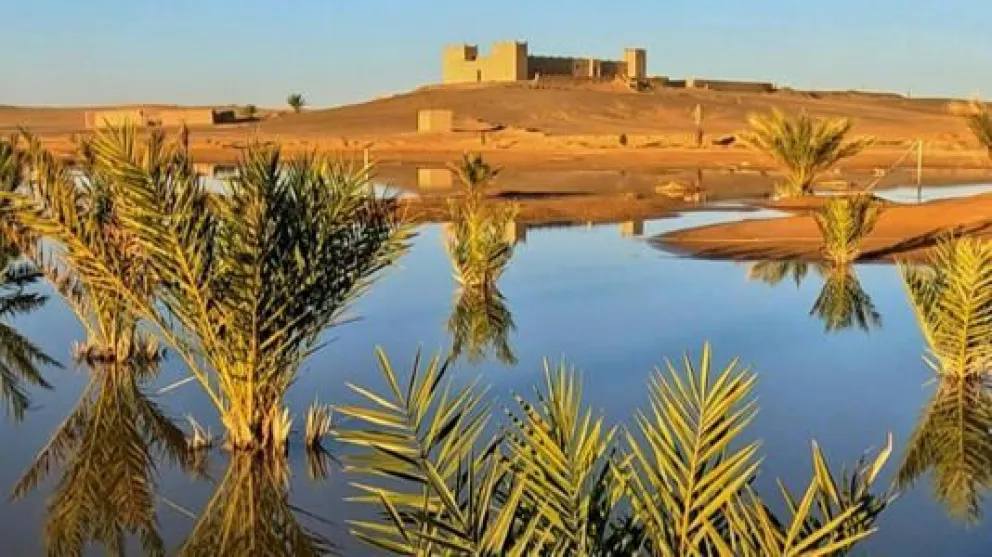 Lluvias torrenciales devuelven la vida al desierto del Sahara en Marruecos