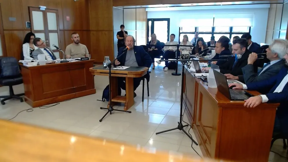 Masacre de pingüinos: en el cuarto día expusieron guardafaunas, funcionarios provinciales, ambientalistas y una periodista
