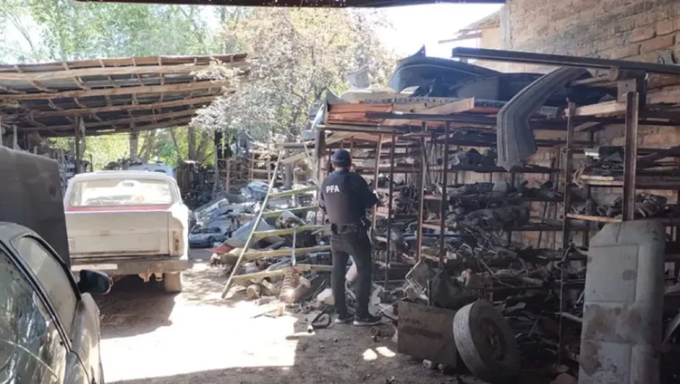 Neuquén: Millonario golpe contra desarmaderos online de autopartes robadas