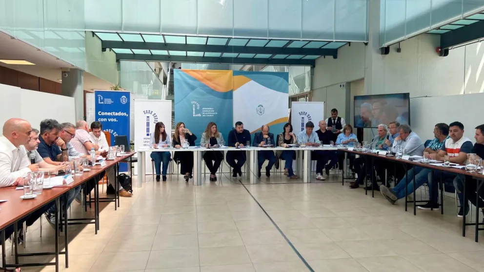 Legislatura: La Cámara del Golfo participó del debate sobre la creación de la Agencia de Inversiones y Comercio Exterior