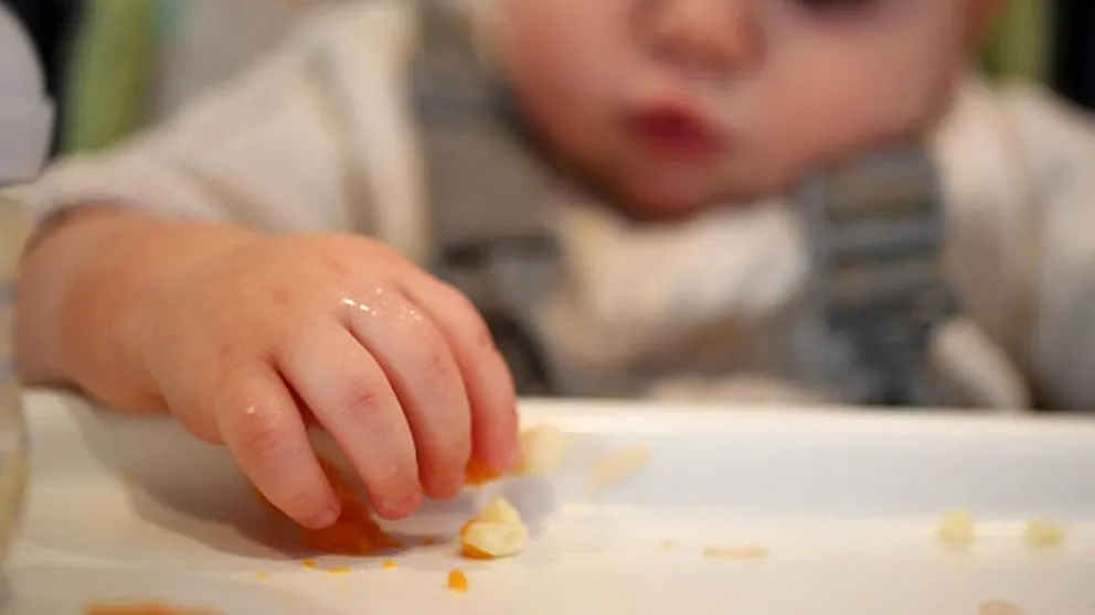 Alertan sobre los riesgos de eliminar grupos de alimentos en la dieta de los niños