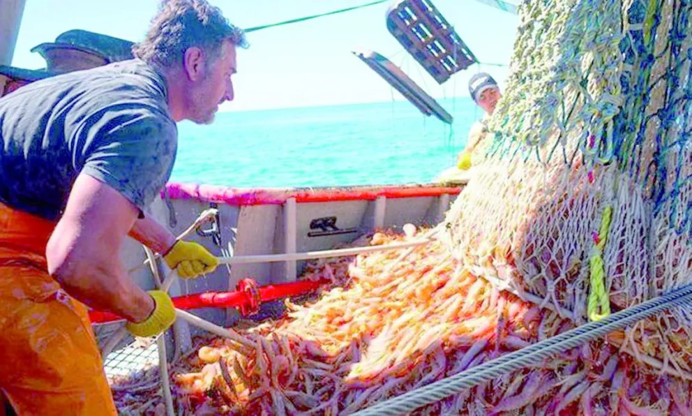 Nacho Torres confirmó el inicio de la temporada de pesca en aguas provinciales y destacó el rol de Chubut