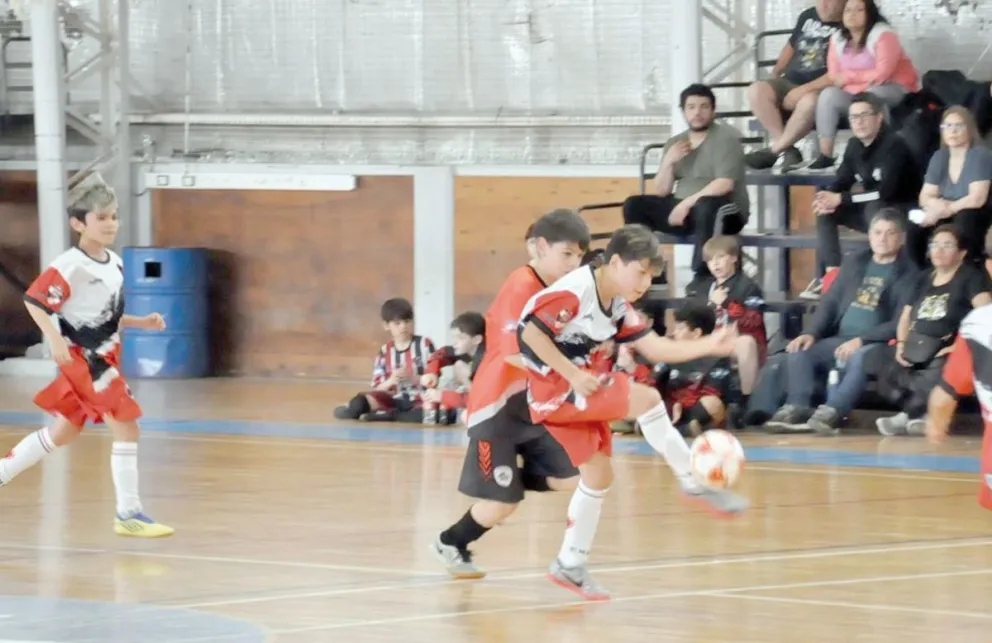 Polideportivo Futsal