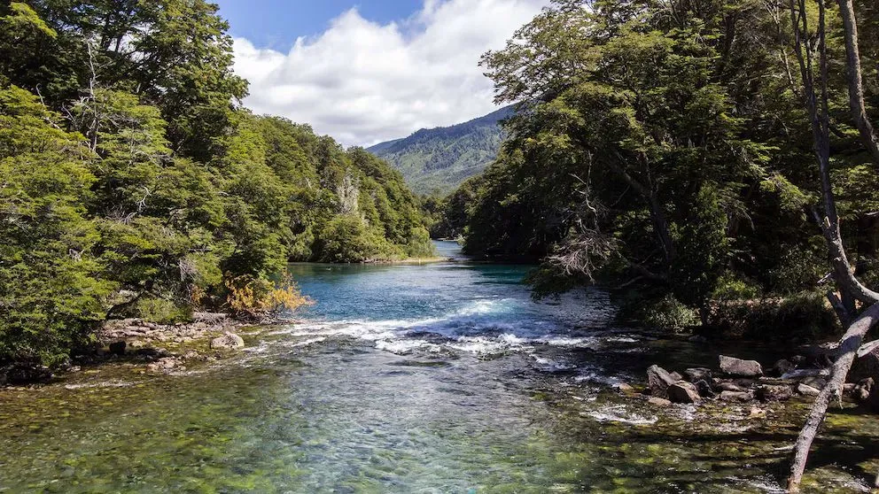 Trágico accidente en El Bolsón en una práctica de rafting