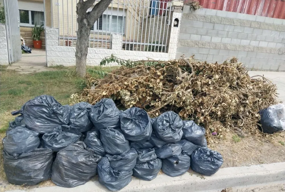 Pareja de jubilados reclama por la recolección de basura en barrio Pueyrredón