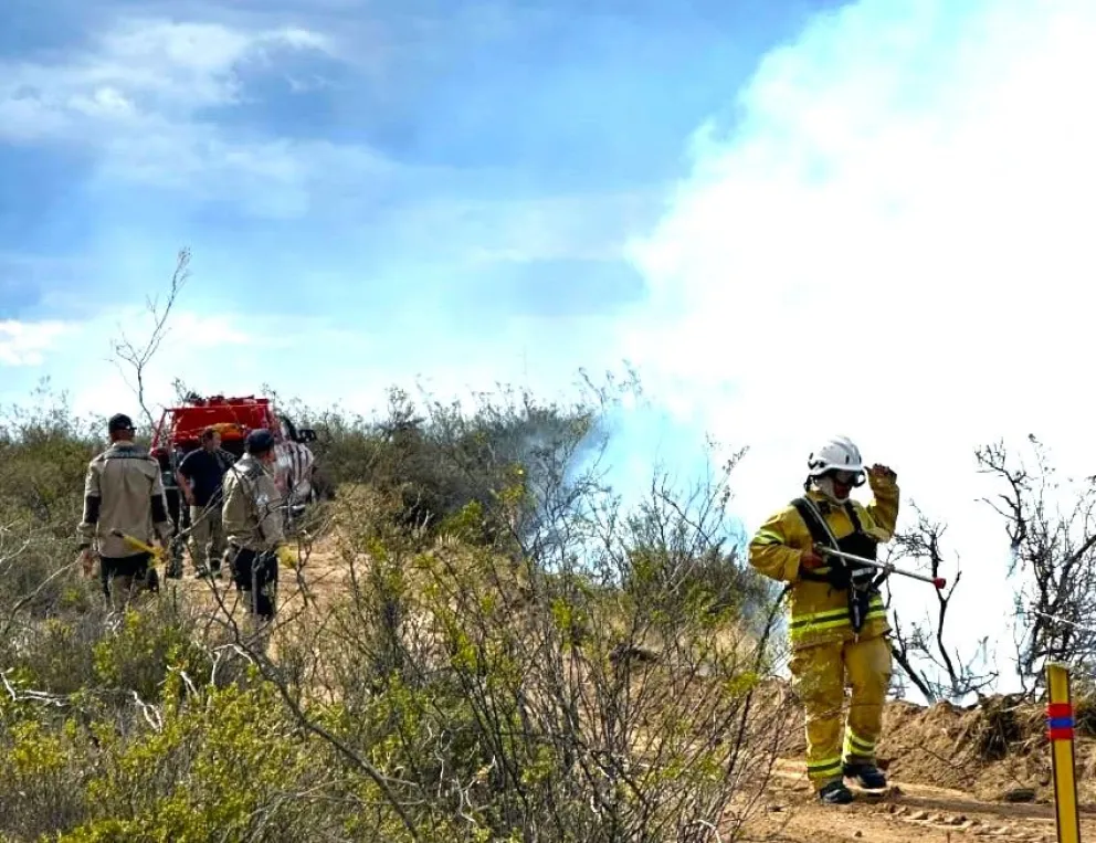 Provincia controló un incendio de pastizales en la zona norte de Puerto Madryn