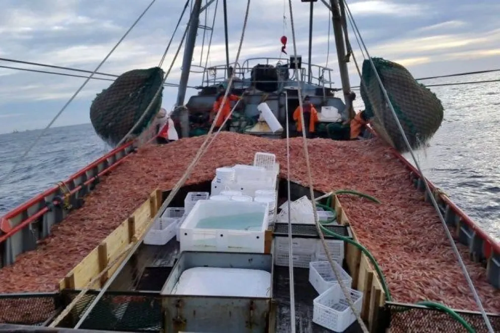 Torres: "Vamos a transitar una temporada de pesca récord, con un impacto muy positivo en la economía de nuestra provincia