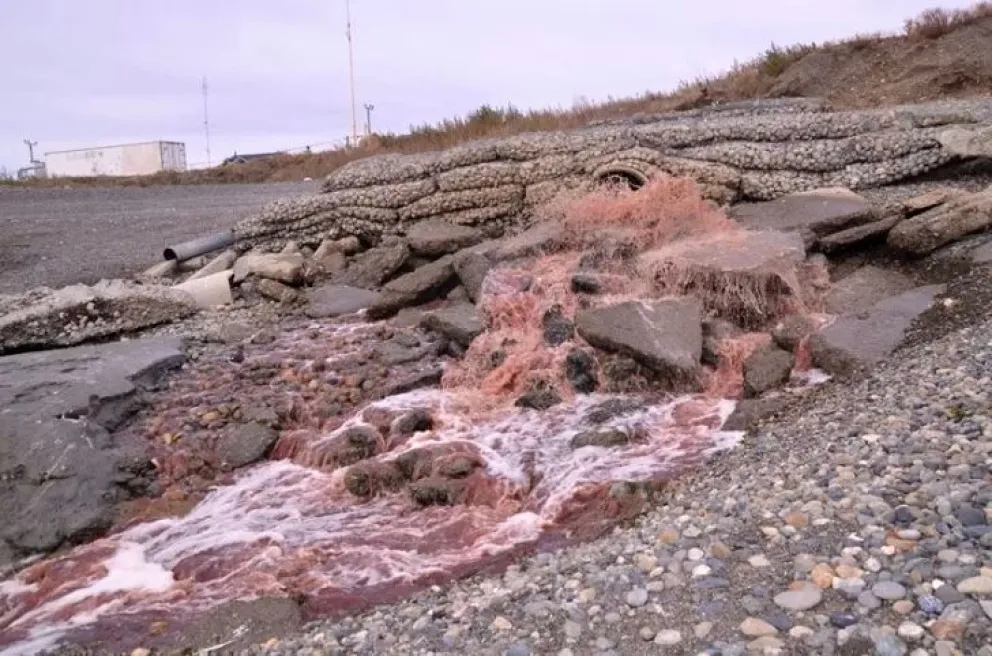 Alarma por vertido de efluentes de sangre en la costanera de Río Gallegos