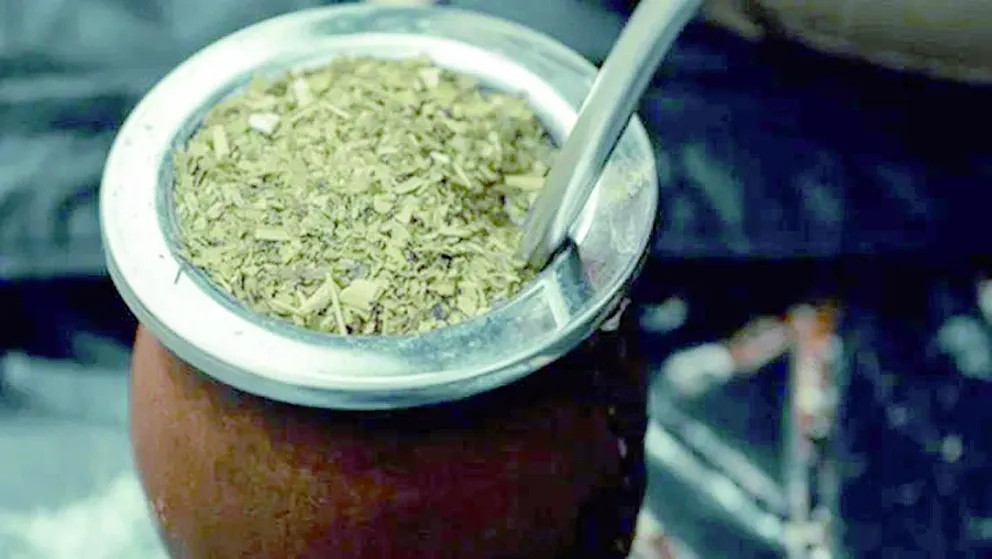 Mate salado: habrá faltantes de yerba y podría dispararse el precio, ¿cuánto saldría desde diciembre?
