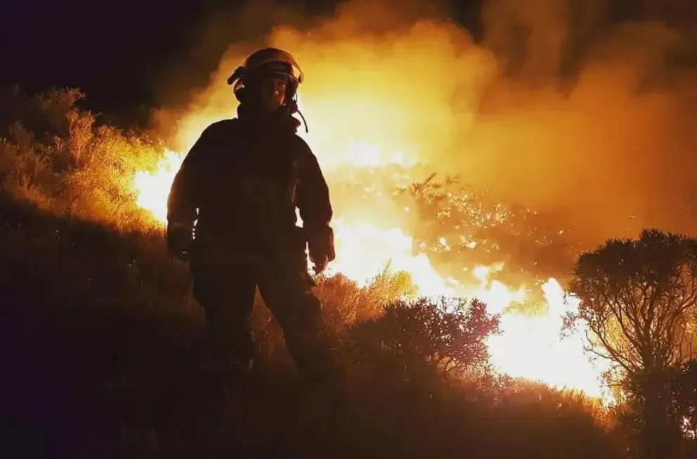 Comienza la temporada de altas temperaturas: consejos para prevenir incendios forestales