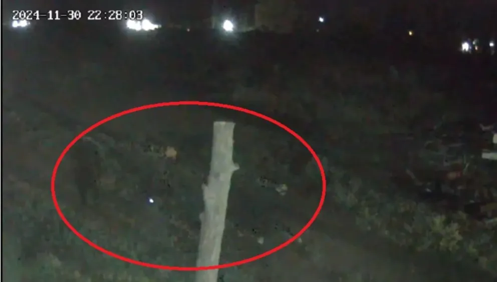 Asaltos y robos en creciente accionar delictivo en la zona de chacras próxima a Trelew