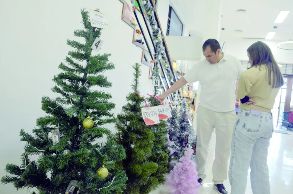 Cuánto cuesta armar un arbolito de Navidad en Comodoro
