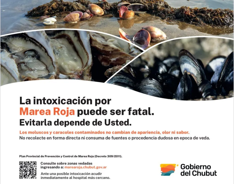 Pesca: Veda por Marea Roja en toda la zona de Rawson