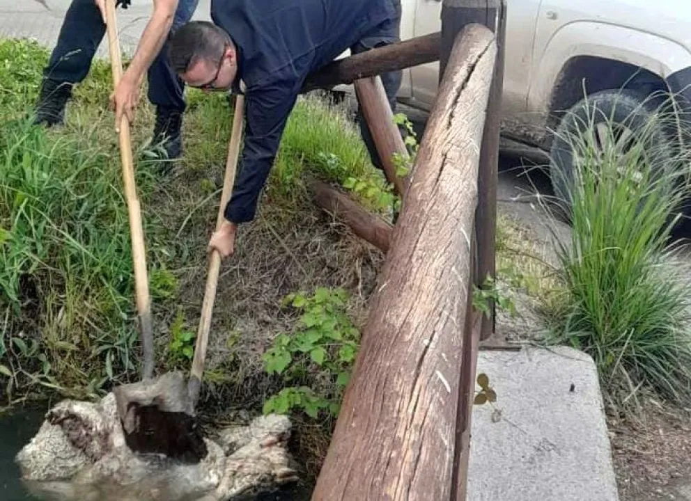 Trelew: El Municipio tomó intervención en un canal rural obstruido con cuero ovino en barrio Las Margaritas