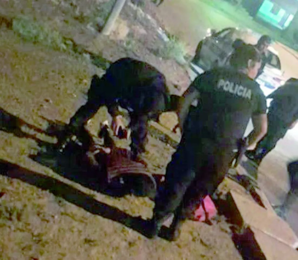 Asaltaron una vivienda con sus moradores dentro y se llevaron hasta una mochila con útiles escolares