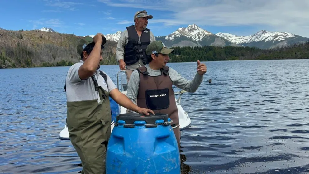 Después de más de 10 años Chubut realiza resiembra de alevines en Laguna Larga