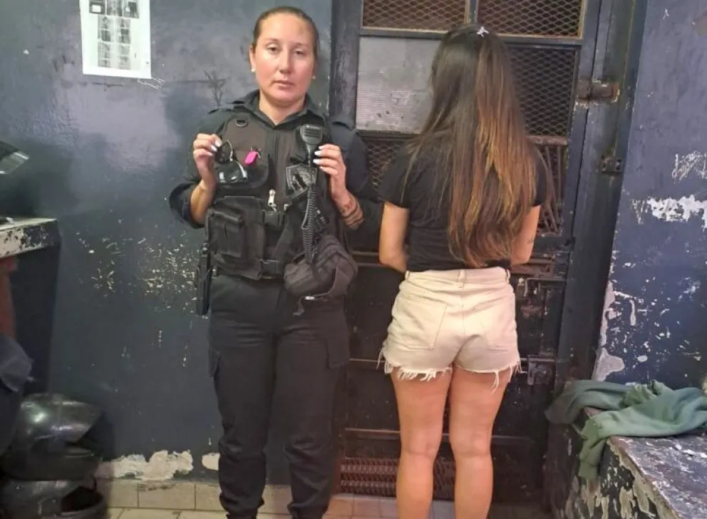 Rosario: Dejó encerrado al perro 7 horas en el auto, el animal murió y la dueña fue detenida