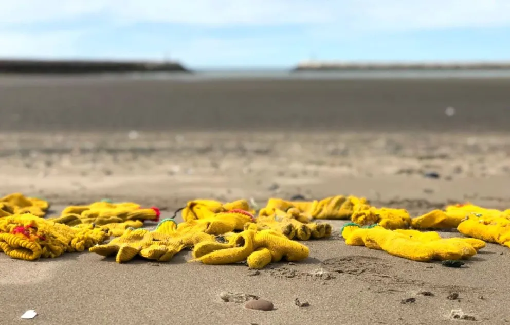 Playa Unión: Invitan a la comunidad a participar en la última limpieza costera del año