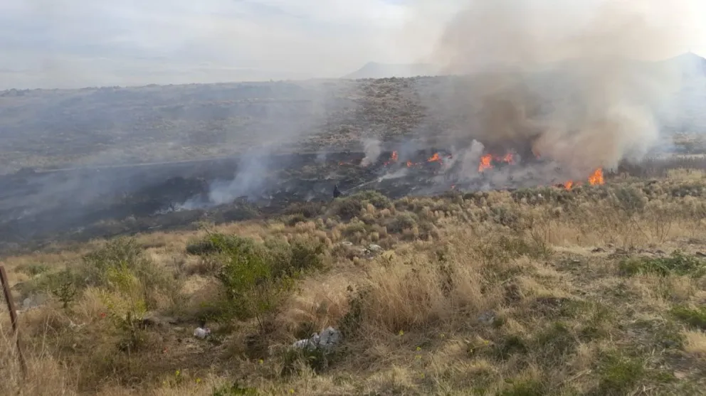 Rápida respuesta ante incendio de pastizales en Barrio Palazzo 