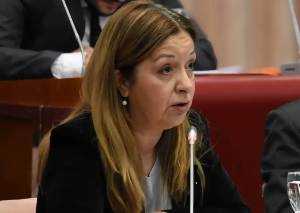 El Presupuesto “tiene una distribución equitativa en seguridad, en obras, en educación”, dijo Aguilera