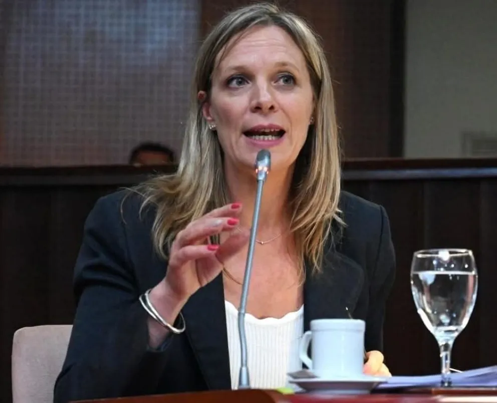 Incremento de aporte de Seros: “Está mal que se haga dentro de una ley de presupuestos”, dijo Abril