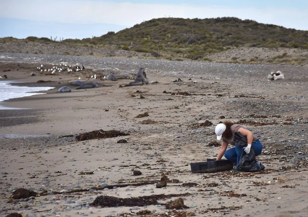 Recolectaron más de 100 kilos de residuos en las playas Santa Isabel e Isla Escondida
