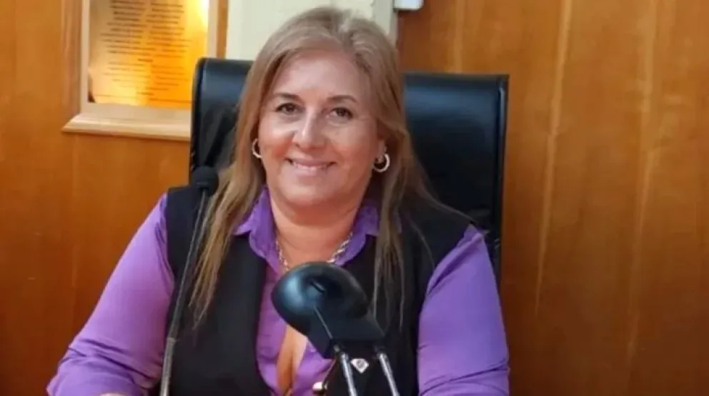 Trelew: Tarifa de transporte y habilitación del RIGI como principales puntos a tratar este viernes en el Concejo