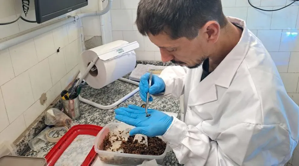 Científicos del CONICET prestan un servicio tecnológico para revalorizar residuos orgánicos de la industria alimentaria