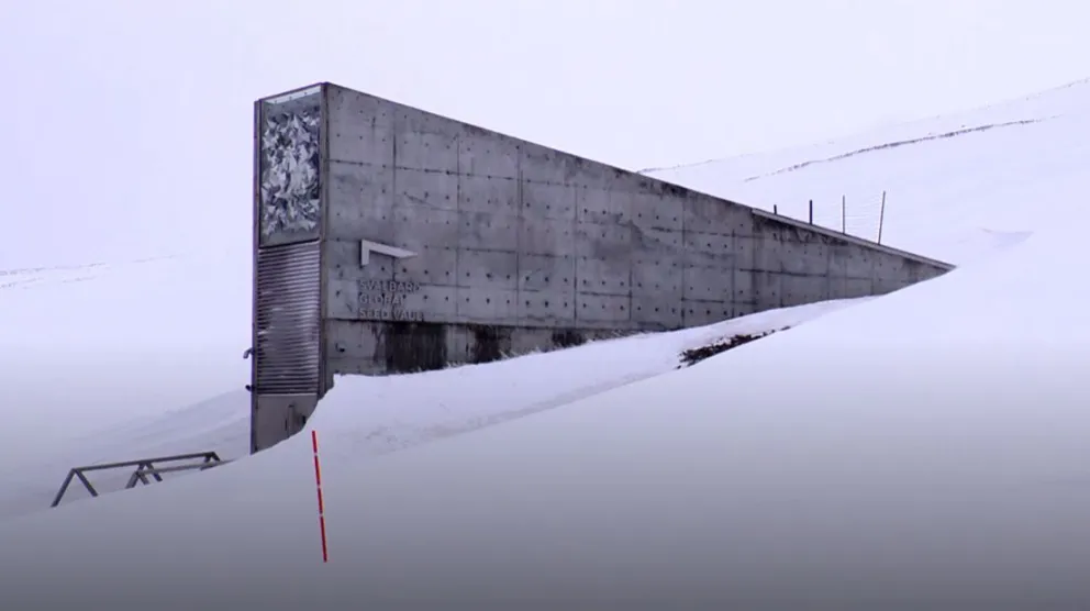 En Svalbarg, Noruega, se encuentra la llamada "Cámara del fin del mundo"