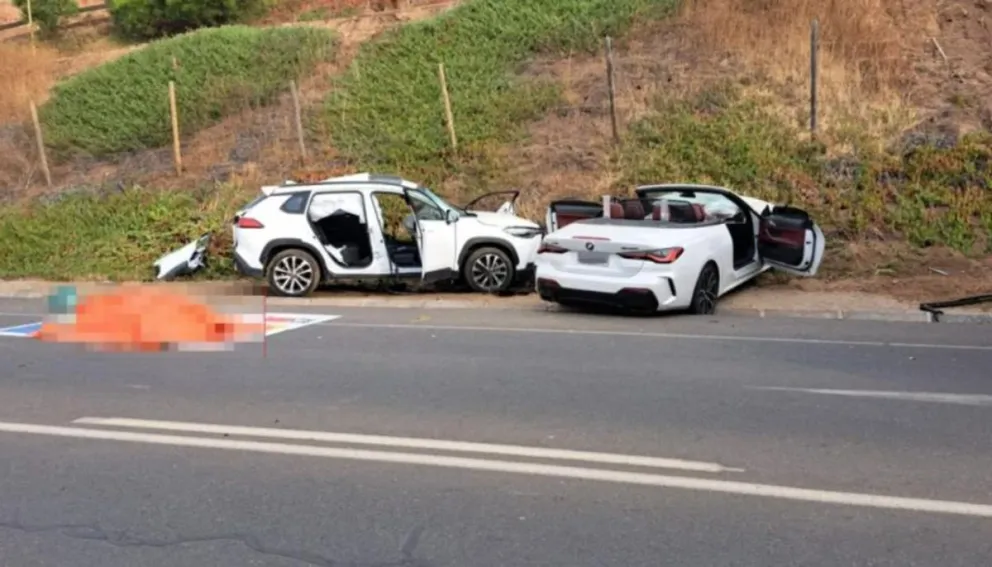Tragedia en Chile: falleció el ex Puma Luis “Rito” Irañeta en un accidente de tránsito