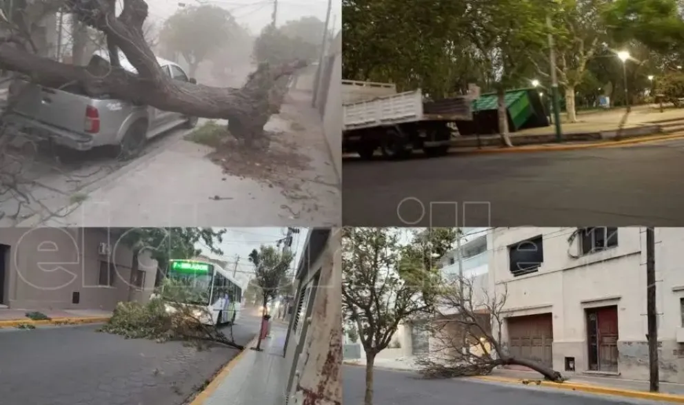 Techos volados, árboles caídos y cortes de energía: una fuerte tormenta azota a San Luis