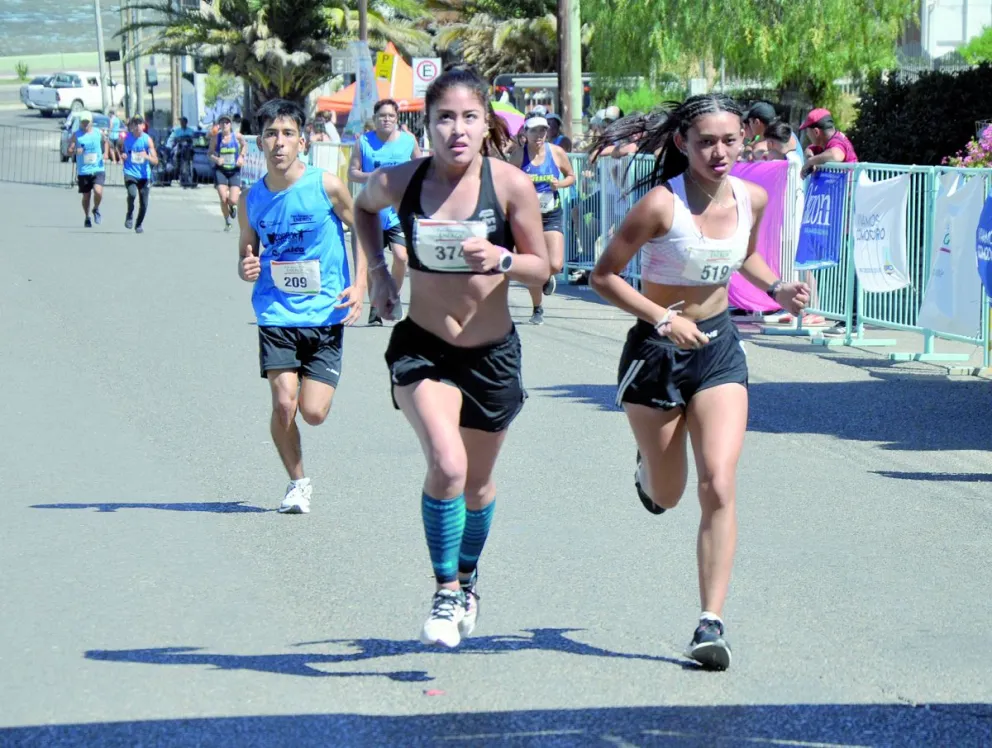 La competencia Integrativa seguirá vigente en Crónica