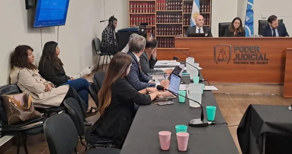 “Ñoquis calientes”: Pidieron una pena de 3 años y 6 meses de prisión para la ex ministra Torres Otarola