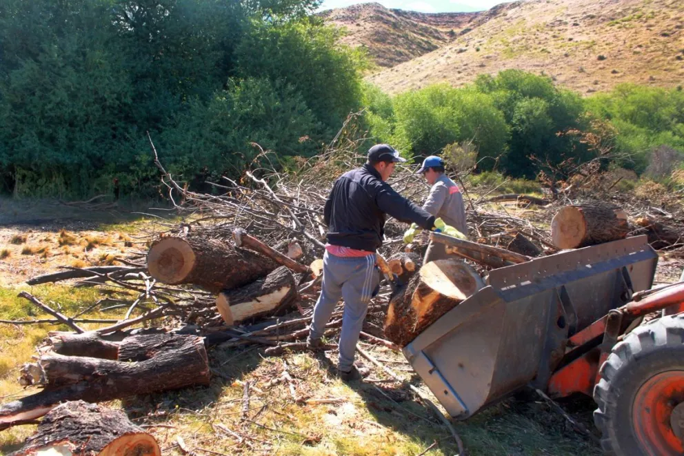Esquel: El Municipio avanza a buen ritmo con la limpieza del arroyo