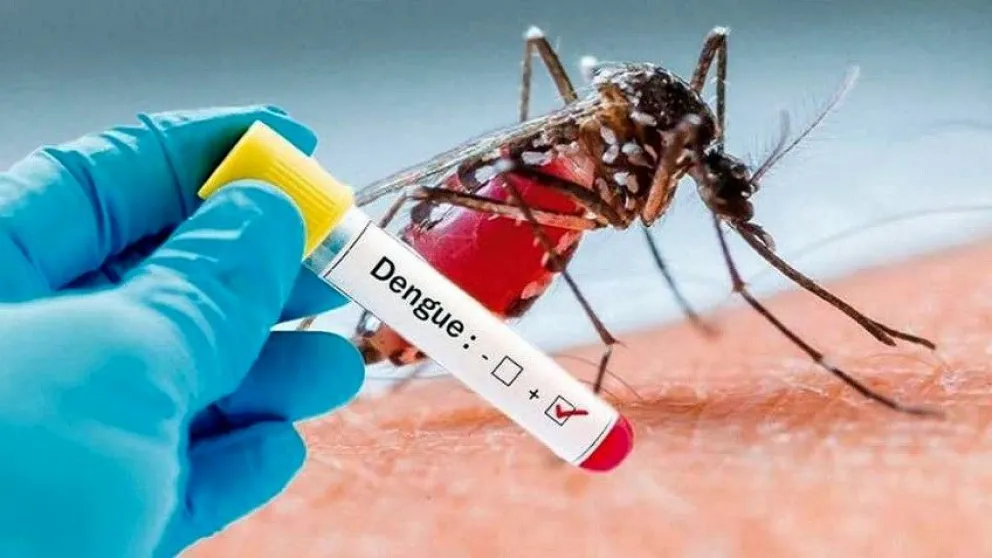 Salud realiza recomendaciones para quienes viajen a países con presencia de dengue