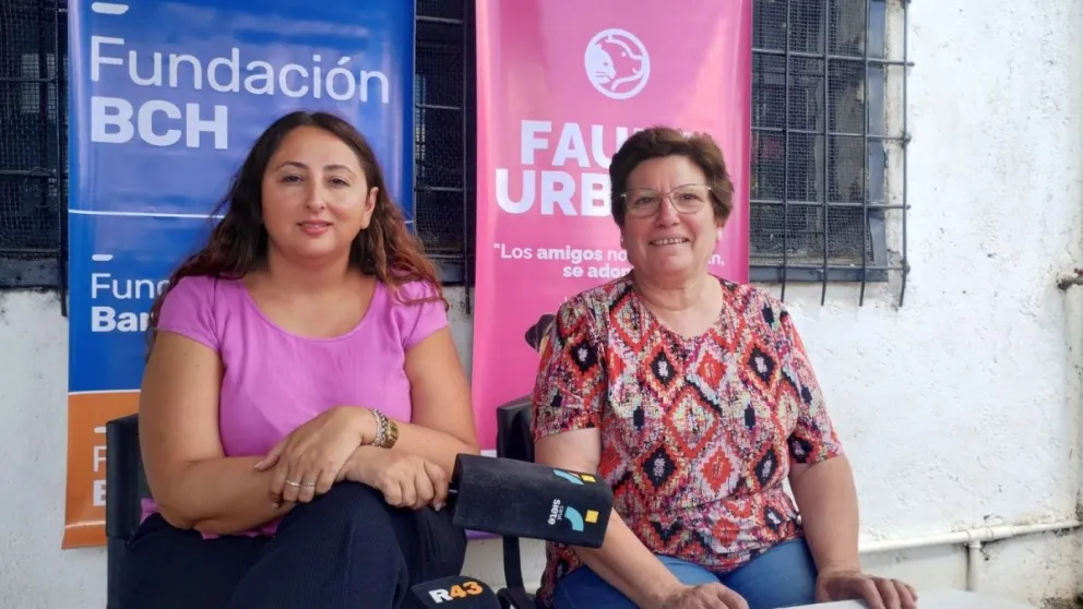 Esquel: El municipio y la Fundación Banco del Chubut invitan a jornada de castración, vacunación y adopción de mascotas