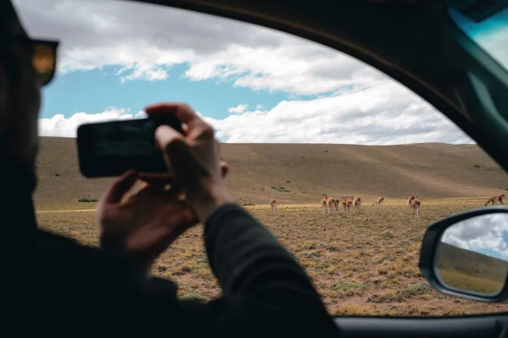 Parque Patagonia: El Unco y una oportunidad para conocer el rewilding desde adentro