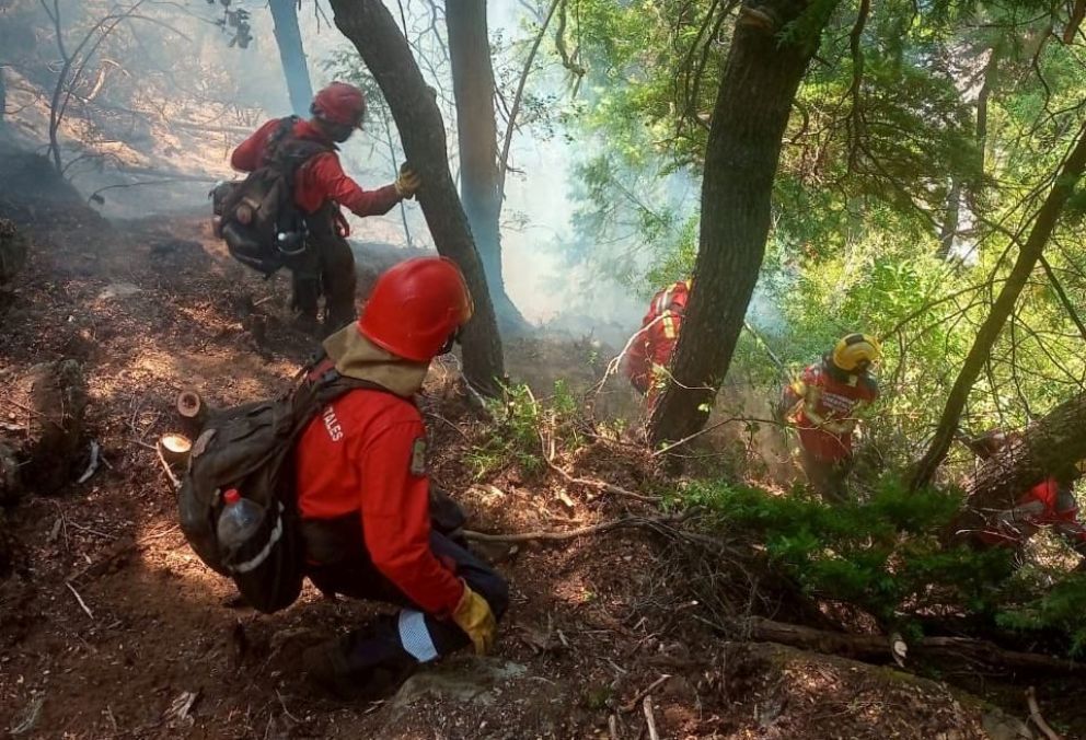 Un respiro: Con apoyo del gobierno provincial, lograron contener sectores del incendio en Epuyén