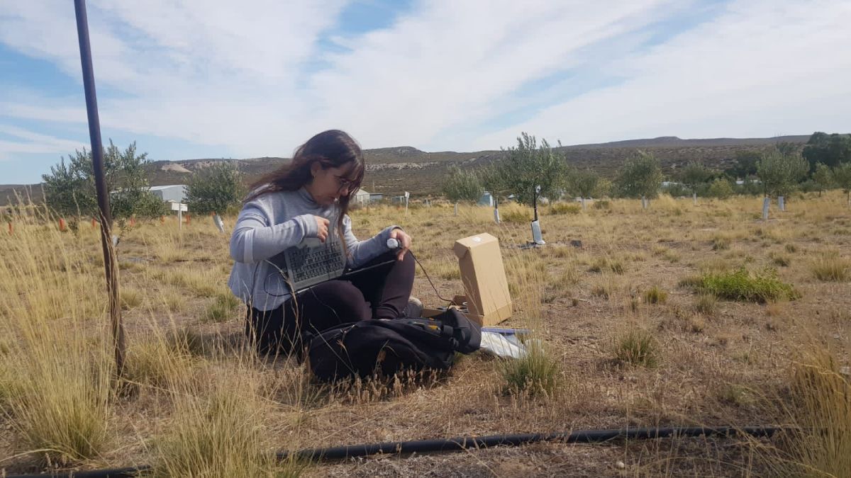 Investigadora chubutense desarrollará estancia en la Universidad de Wisconsin para potenciar cultivos en regiones áridas y frías