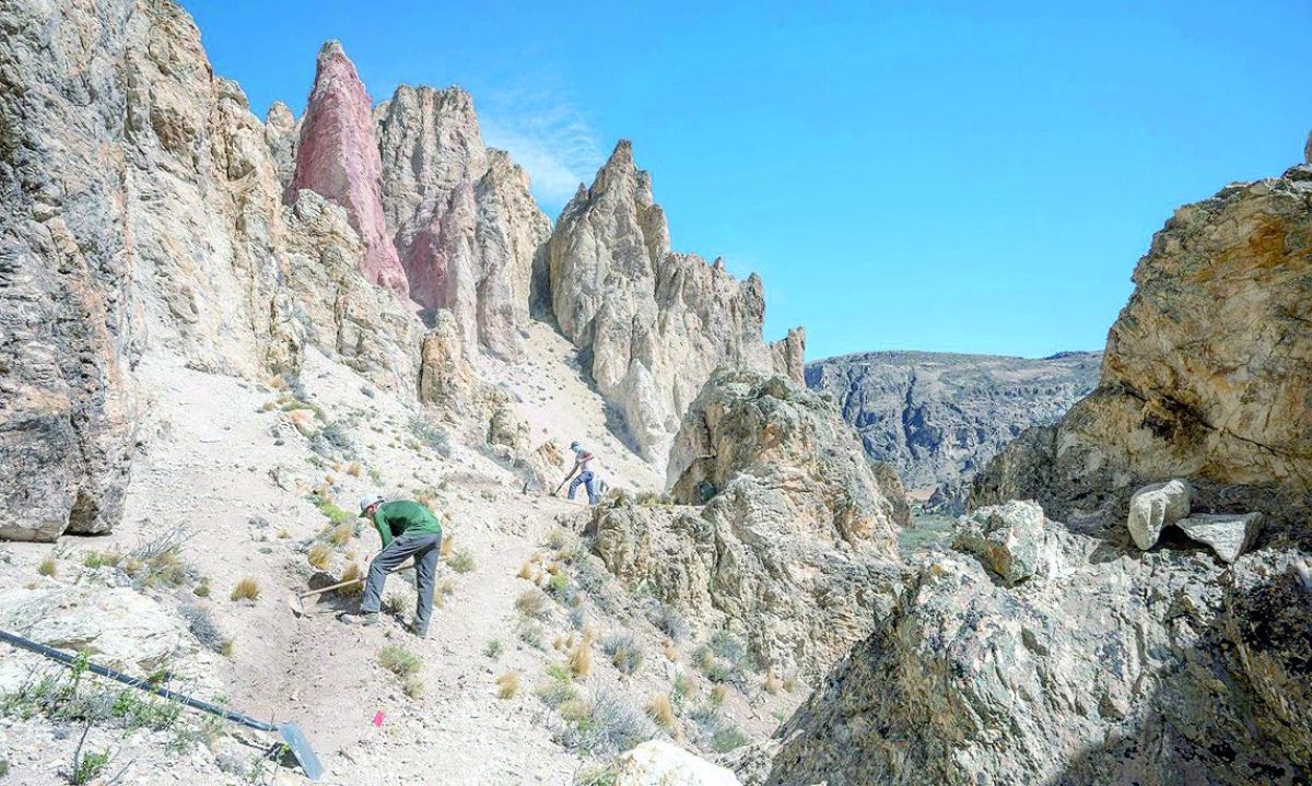 Tierras Blancas: un nuevo sendero para descubrir la riqueza de Parque Patagonia