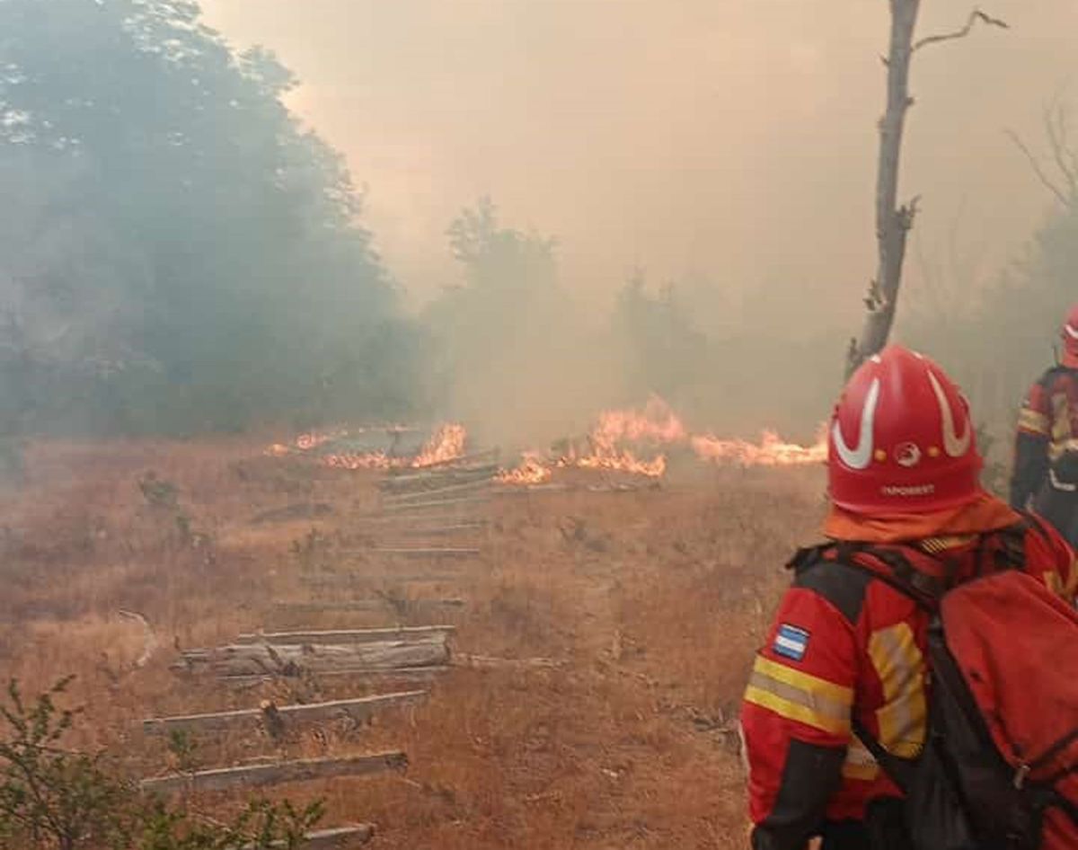 El Gobierno de la Provincia continúa al frente de los operativos para sofocar los incendios en la cordillera