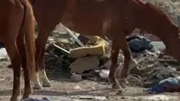 Desvalijaron a ex alto jefe policial  en chacra cercana a Rawson