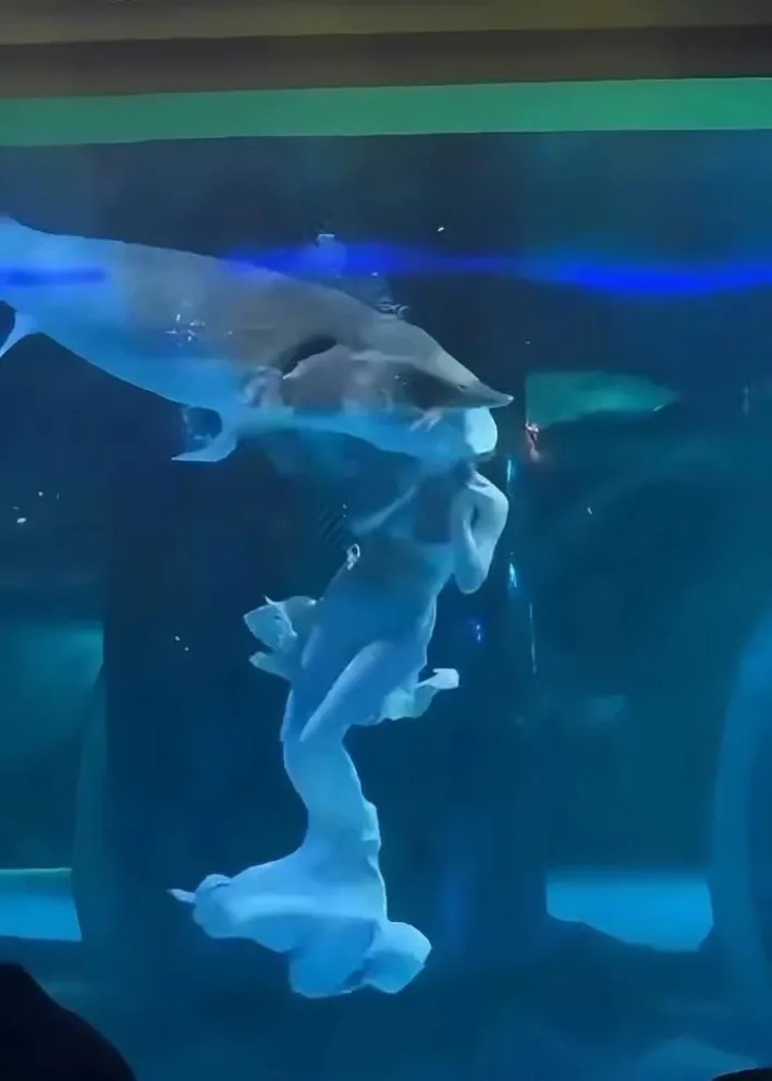 Un pez gigante atacó a una artista en un acuario de China