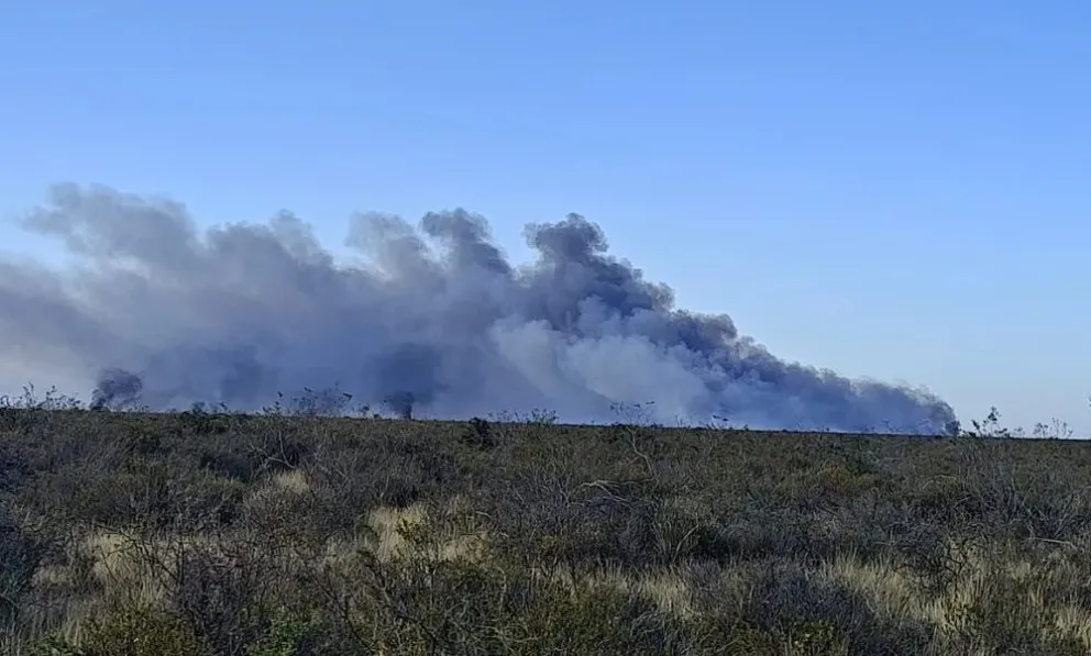Combaten un incendio forestal a 50 km al norte de Puerto Madryn