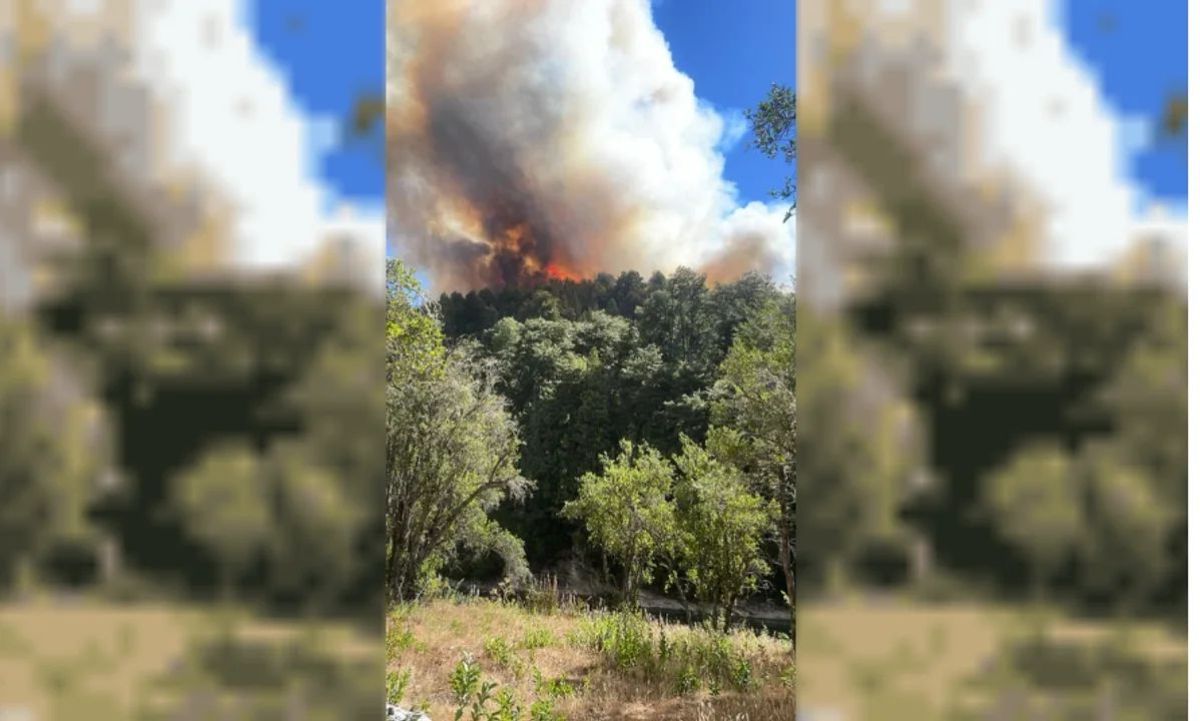 Nuevos incendios en la Comarca Andina: dos focos activos complican la situación  