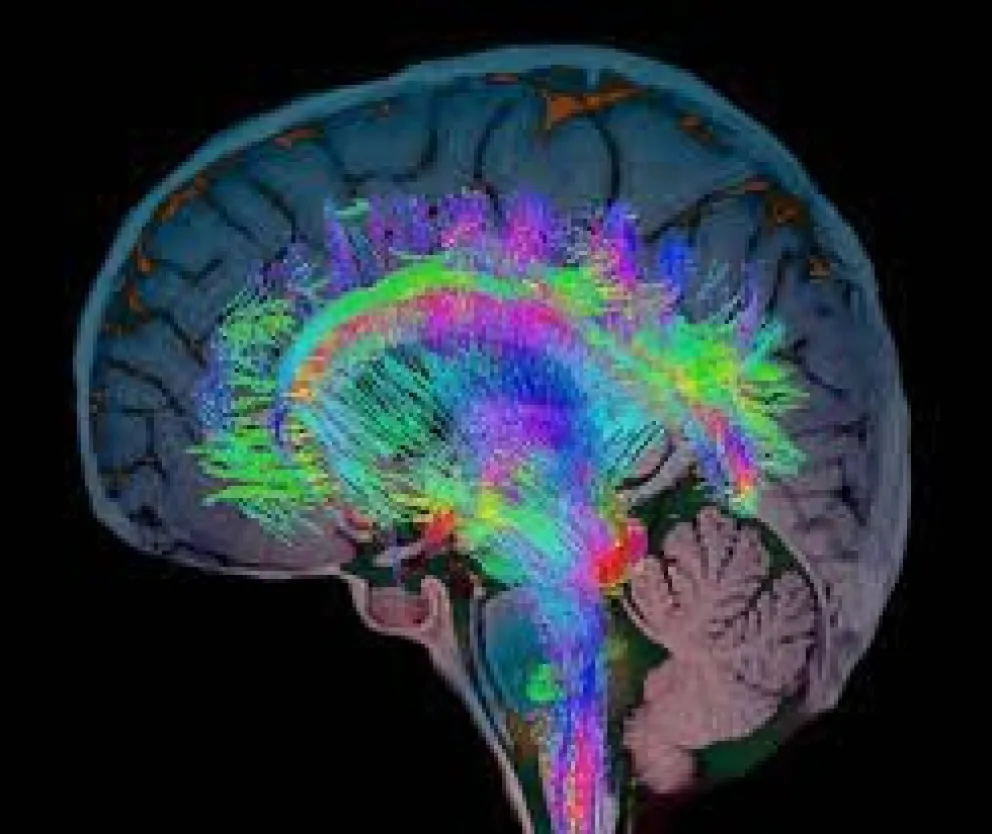 Avances en genética y neurodesarrollo