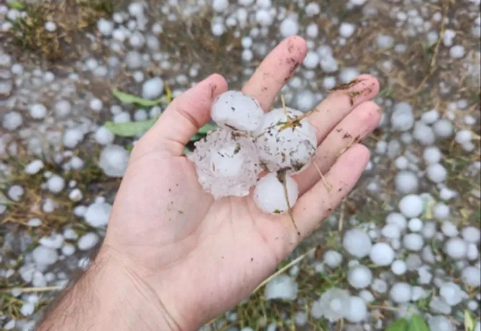 Tormenta de granizo y fuertes vientos causó destrozos en Bahía Blanca