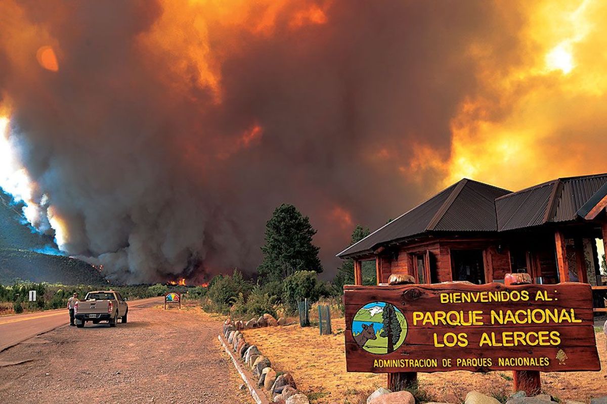 Patagonia en llamas: Desde 2019 a 2025, se quemaron un total de 1,6 millones de hectáreas por incendios forestales