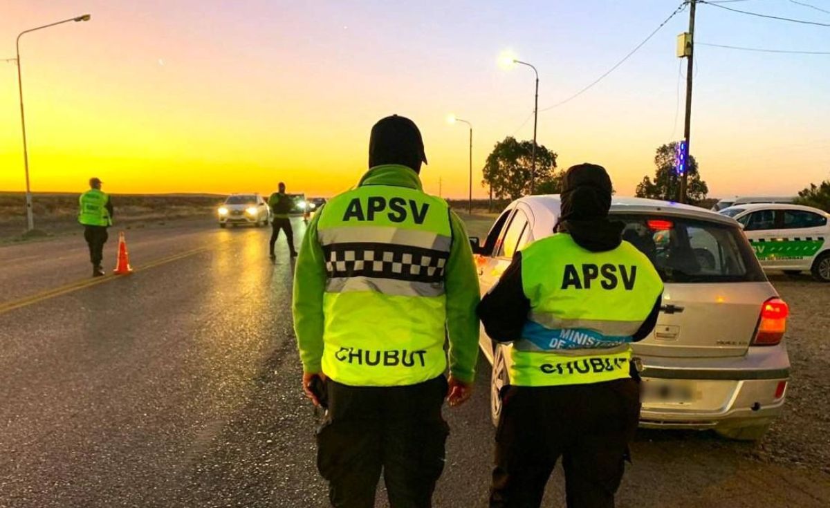 Verano Seguro: Provincia controló cerca de 10.000 vehículos y retiró a 45 conductores alcoholizados de la vía pública